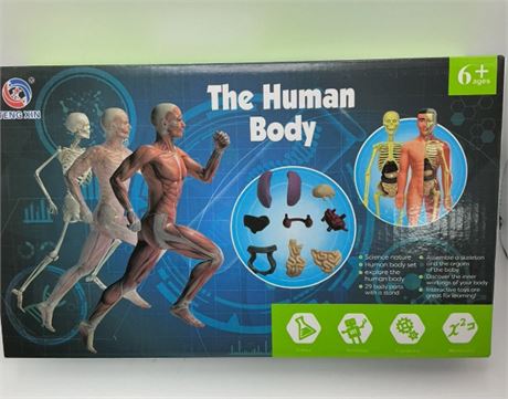 The Human Body Puzzle Game