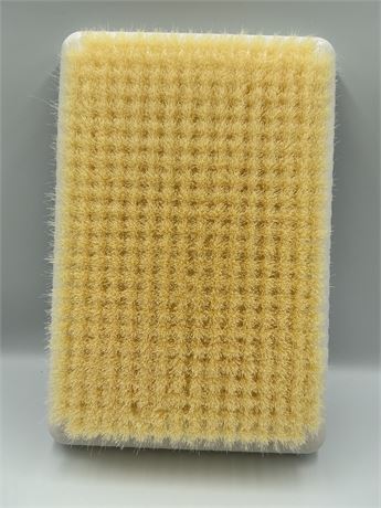Wall Mounted Back scrubber for shower